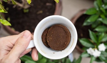 Coffee Grounds Boost Concrete Coffee Grounds Boost Concrete